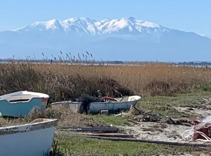 Cosy Tres Calme Canet-en-Roussillon